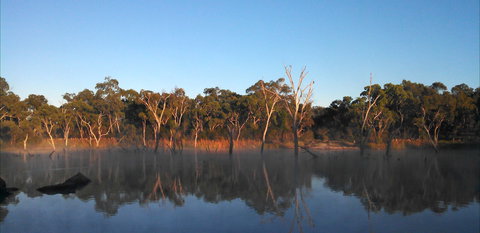 Country Style Caravan Park - Darwin Holiday 3