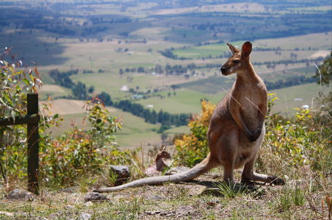 Eaglereach Wilderness Resort - Darwin Holiday 0