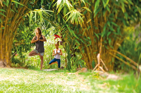 Eternity Springs Art Farm Bed And Breakfast - Darwin Holiday 2