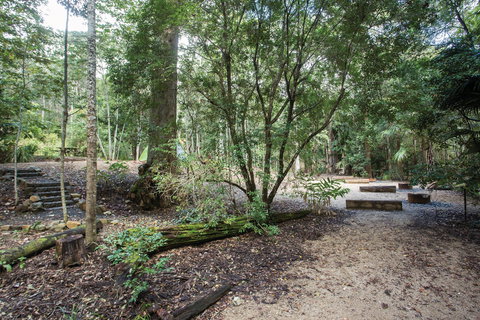 Eungella National Park Camping - Darwin Holiday 0