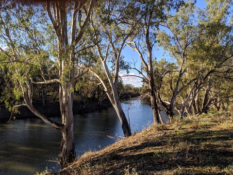 Four Mile Camping Reserve - Darwin Holiday 2