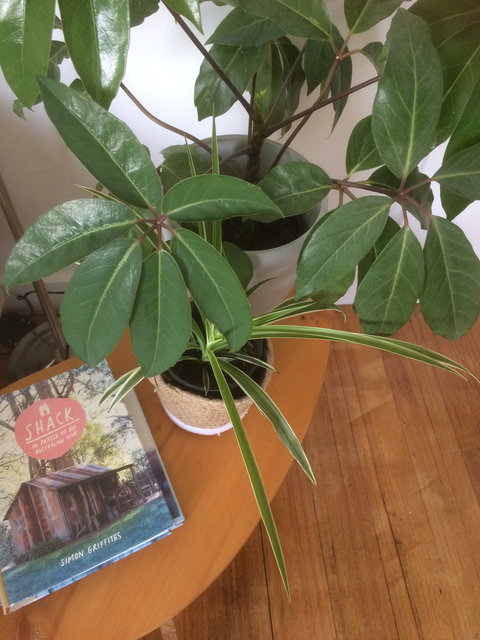 Franklin Accommodation - Darwin Holiday 4