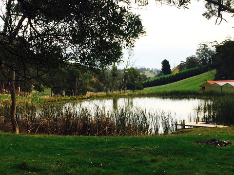 Gracefield Estate - Darwin Holiday 0