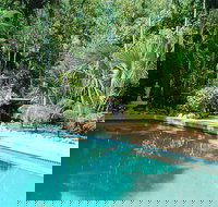 Grungle Downs Tropical Bed and Breakfast - Darwin Holiday