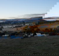 Hamlet Downs Country Accommodation - Darwin Holiday