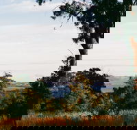 Hilltop Barn at Swan Bay - Darwin Holiday