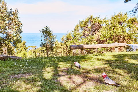 Lorne Foreshore Caravan Park - Darwin Holiday 7