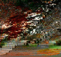 Misty Valley Country Cottages - Darwin Holiday