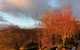 Mole Creek Hideaway - thumb 0