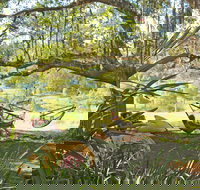 Nimbin Rox YHA - Darwin Holiday