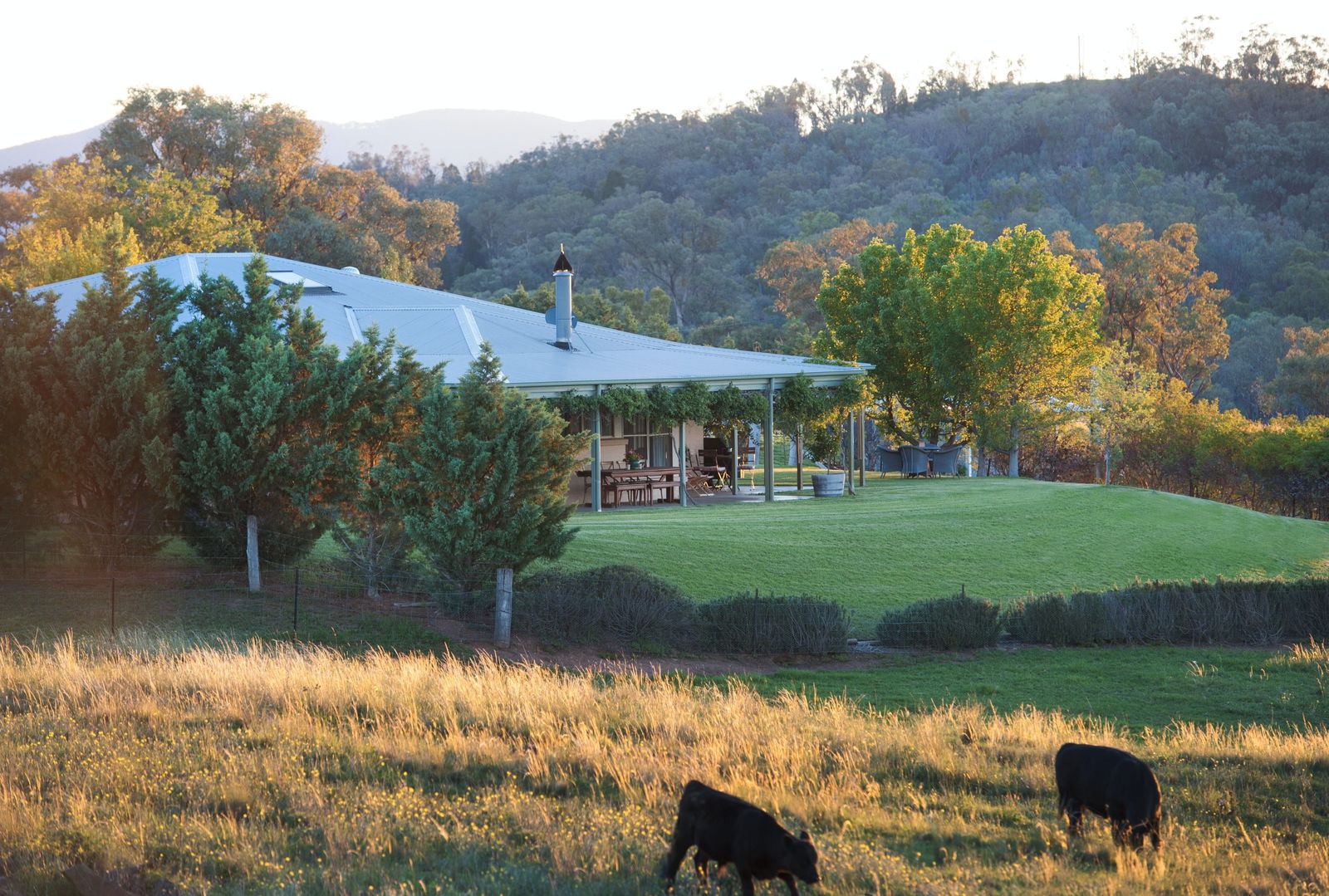 Mudgee NSW Darwin Holiday