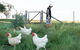 Rosby Guesthouse And Studio - thumb 9
