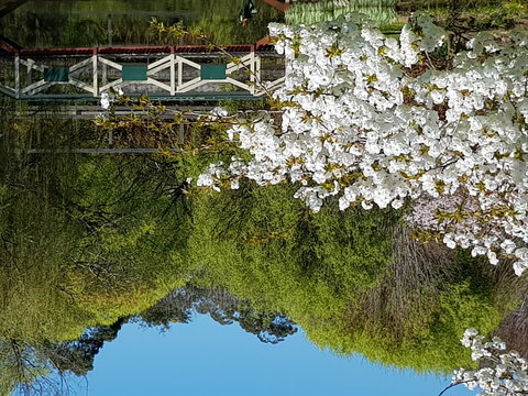 Sheffield Gardens B&B - Darwin Holiday 1