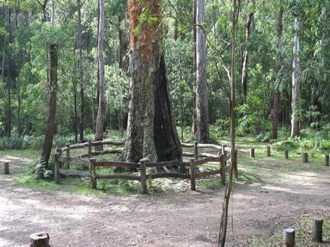 Six Mile Creek Campground - Darwin Holiday 0