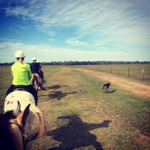 Susan River Homestead - Darwin Holiday 2