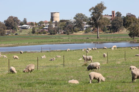 Tilga Guest Stay - Darwin Holiday 5