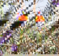 Twilight Grove Farm Bed and Breakfast