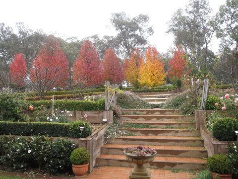 Wejalee Bed And Breakfast - Darwin Holiday 1