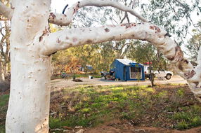 Book Carnarvon Accommodation Vacations Darwin Holiday Darwin Holiday