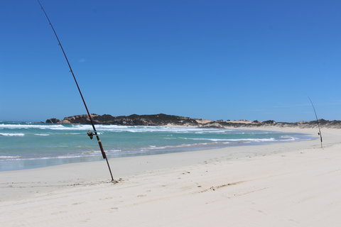 3 Mile Bend Campground - Beachport Conservation Park - Darwin Holiday 1