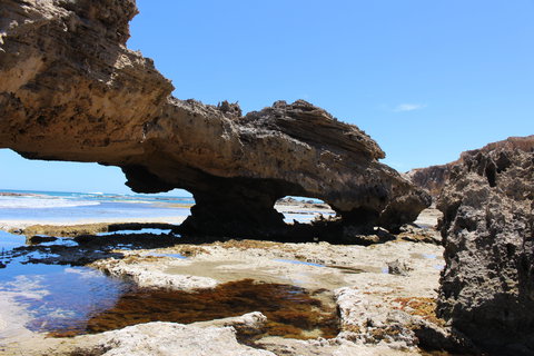 3 Mile Bend Campground - Beachport Conservation Park - Darwin Holiday 2
