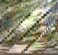 Bald Hill  Camp at Avon Valley National Park