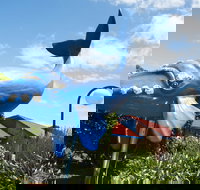 Blue Whale Motor Inn and Apartments - Darwin Holiday