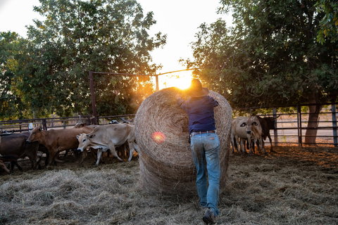 Bullo River Station - Darwin Holiday 2