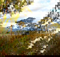 Buttongrass Retreat - Darwin Holiday