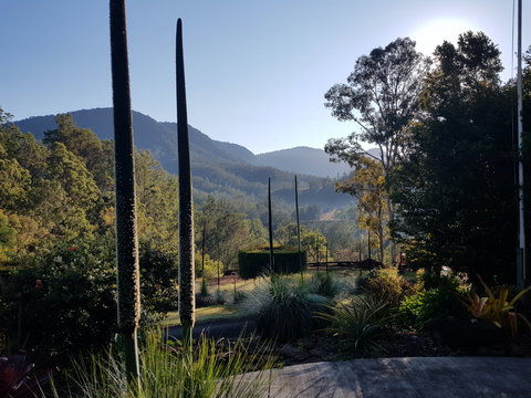 Cougal Park Bed And Breakfast - Darwin Holiday 1