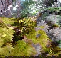 Fernhook Falls Camp at Mount Frankland South National Park - Darwin Holiday