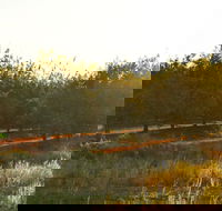 Griffith Tourist Caravan Park