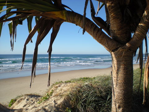 Horizons At Peregian - Darwin Holiday 0