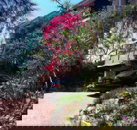 Linley House Bed and Breakfast - Darwin Holiday