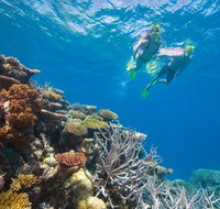 NRMA Cairns Holiday Park - Darwin Holiday