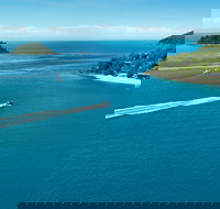 qualia - Darwin Holiday