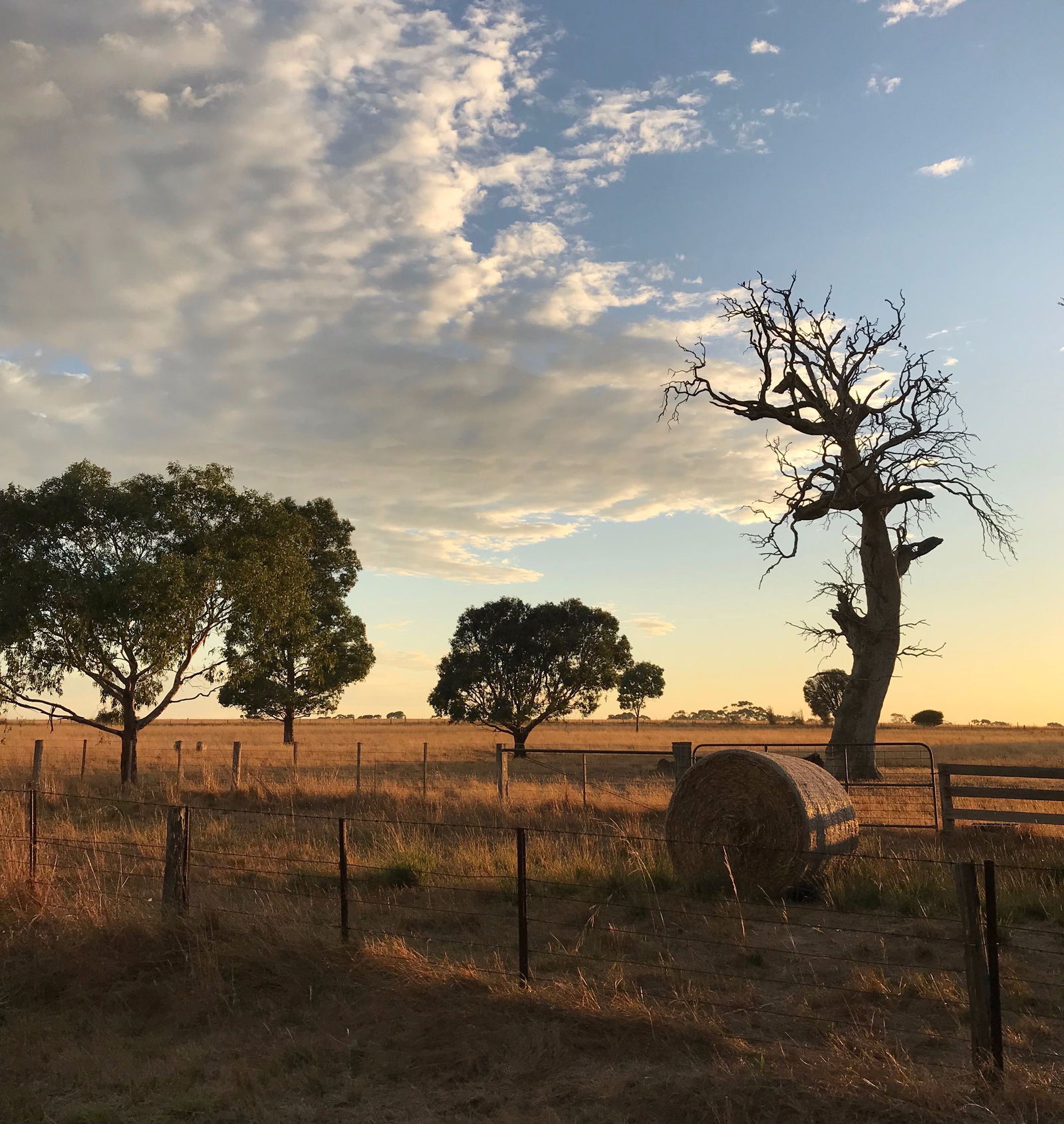 Stonehaven VIC Darwin Holiday
