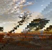 Rocklea Farm - Darwin Holiday