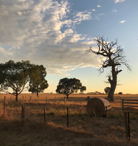 Rocklea Farm - Darwin Holiday 0