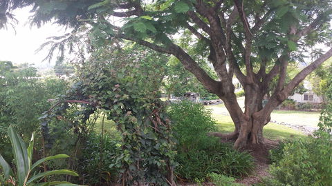 Rosehill Apartments - Darwin Holiday 2
