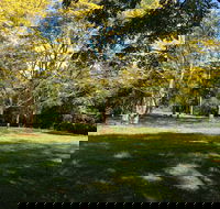 Scenic Rim Adventure Park - Darwin Holiday