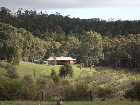 Taralee Orchards - Darwin Holiday 1
