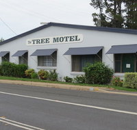 Tree Motel - Darwin Holiday