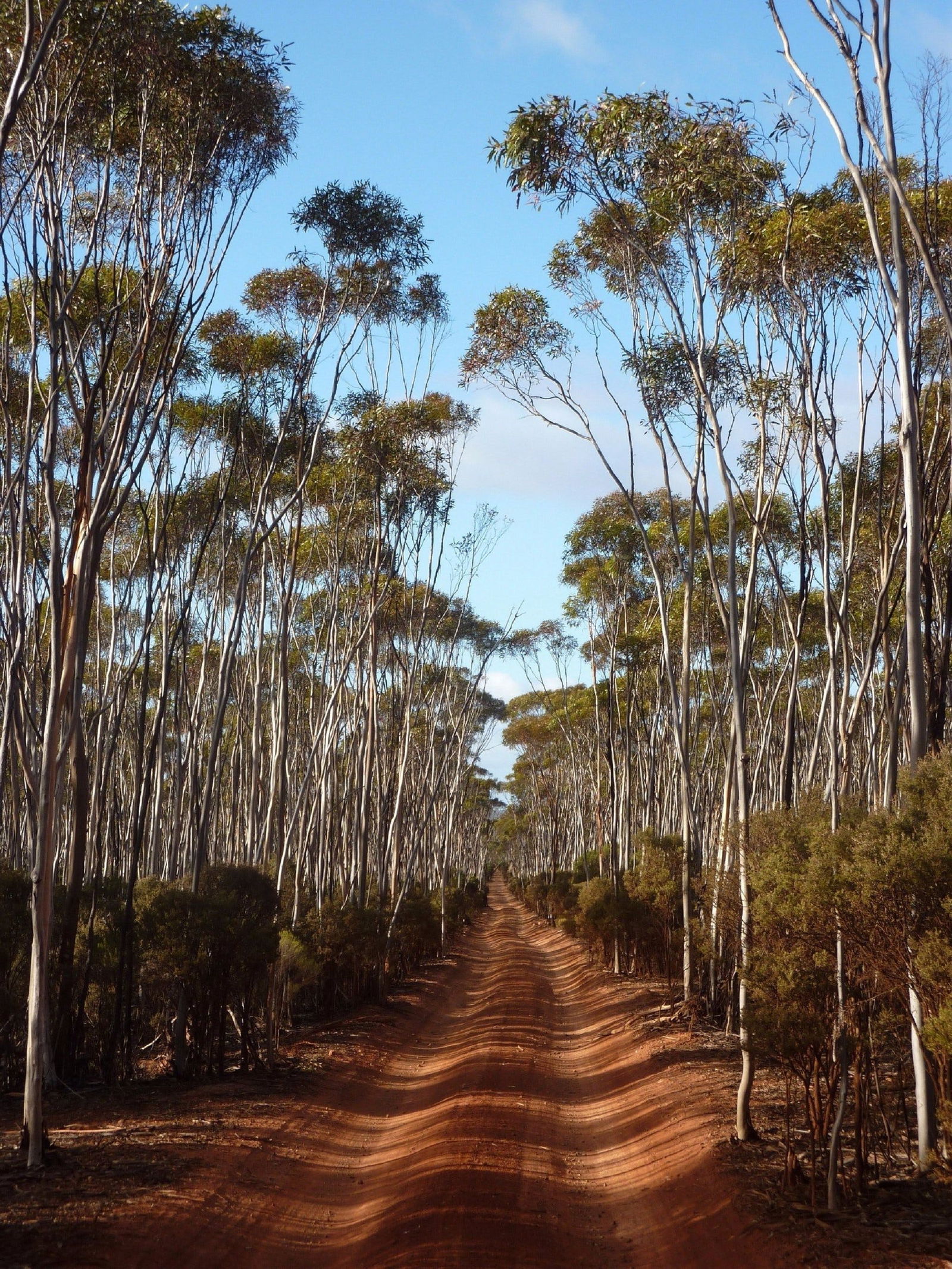 Victoria Rock WA Darwin Holiday