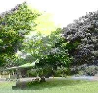 Wavestation - Darwin Holiday