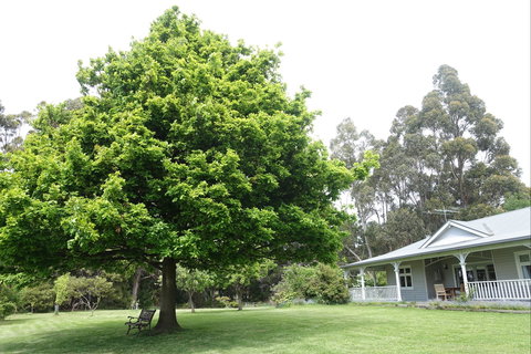 Wavestation - Darwin Holiday 0