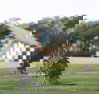 Yering Gorge Cottages