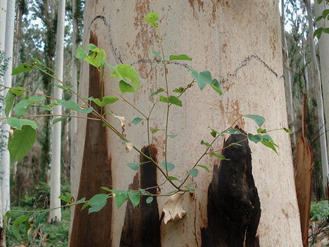 Acacia Flat Campground - Darwin Holiday 1