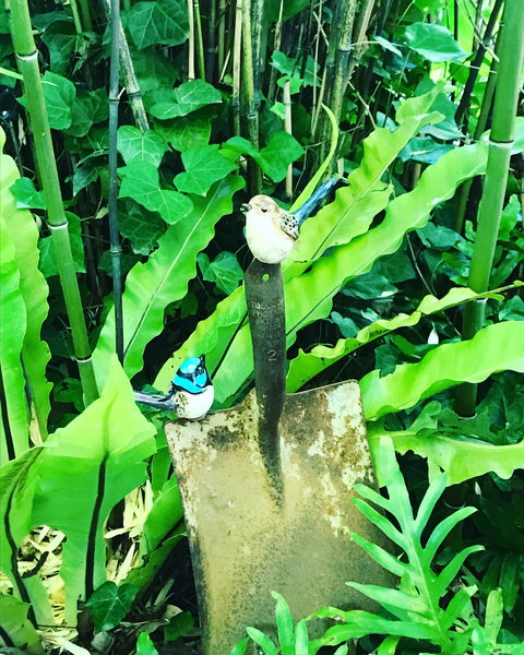 Aldgate Valley Bed And Breakfast - Darwin Holiday 2