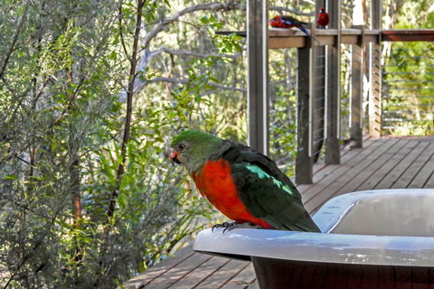 Araluen Park Cottages - Darwin Holiday 2